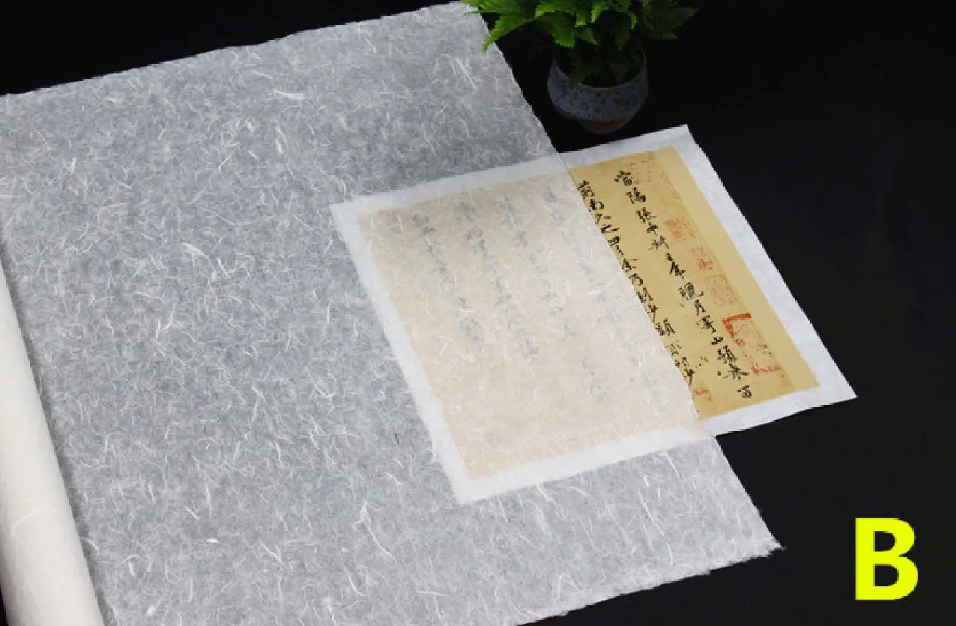 Chinese Japanese Calligraphy Practice Writing Sumi Drawing Xuan Rice Paper without Grids 10 Sheets/Set , Sheng (Raw) Xuan