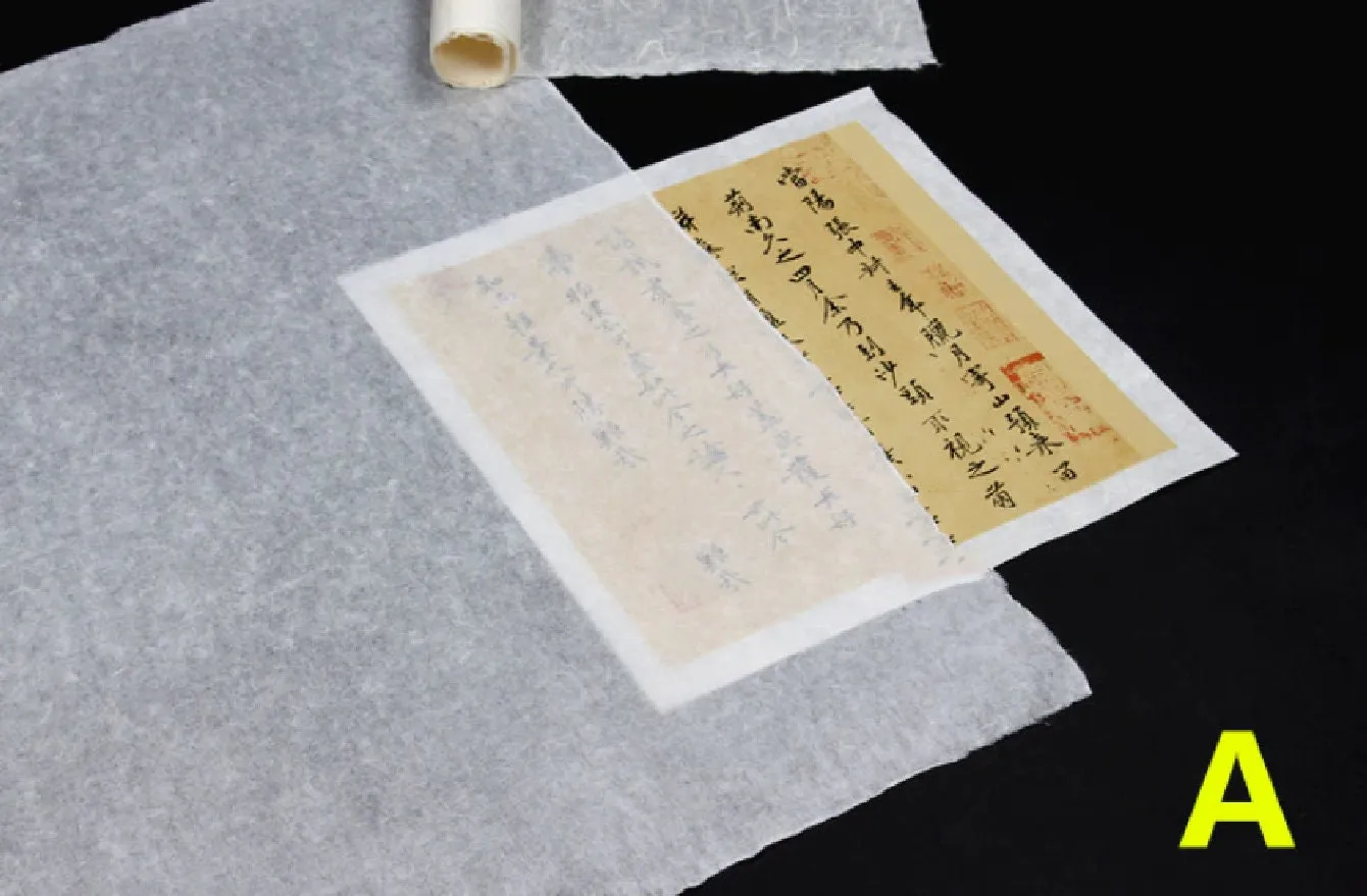 Chinese Japanese Calligraphy Practice Writing Sumi Drawing Xuan Rice Paper without Grids 10 Sheets/Set , Sheng (Raw) Xuan