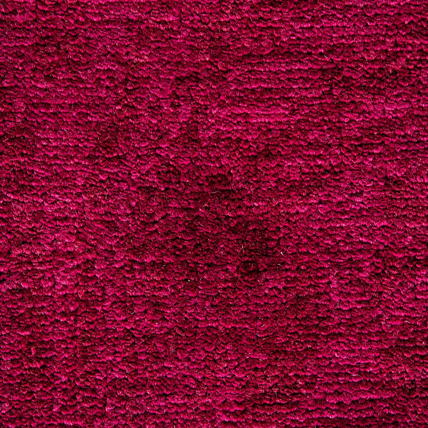 Pink Samsara Wool Rug - 10' x 13'8"