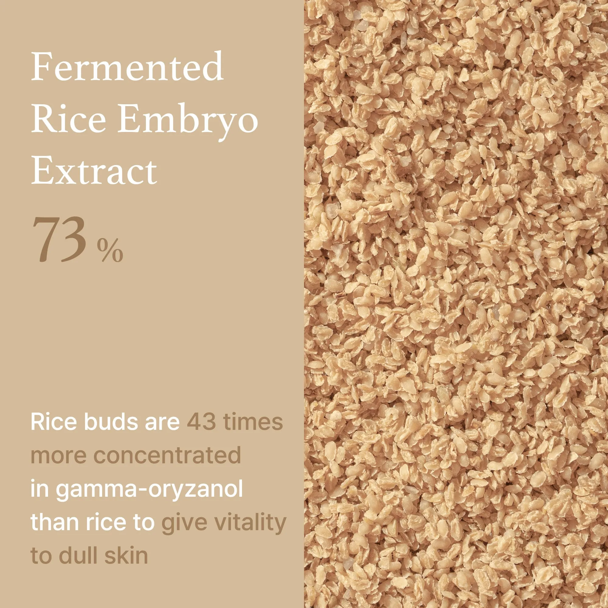 Rice Serum