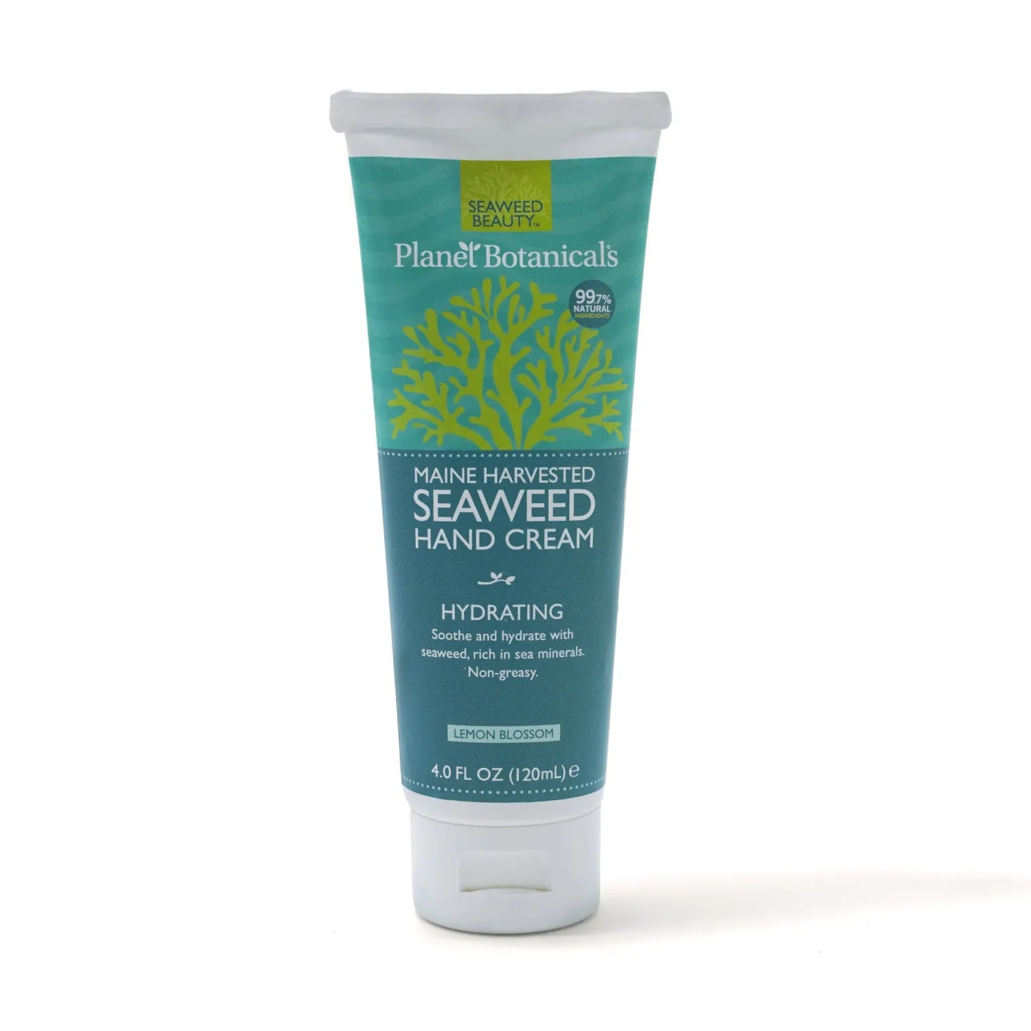 Seaweed Hand Cream 4 oz - Planet Botanicals