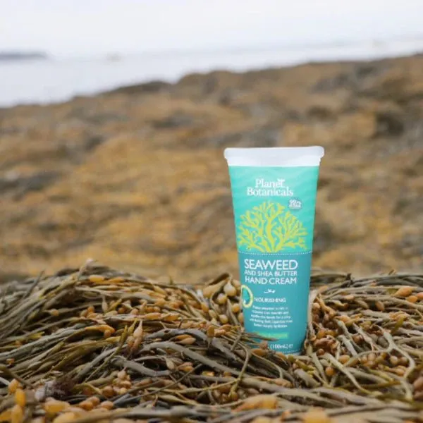 Seaweed Hand Cream 4 oz - Planet Botanicals