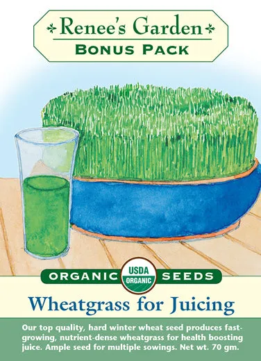 Wheatgrass For Juicing